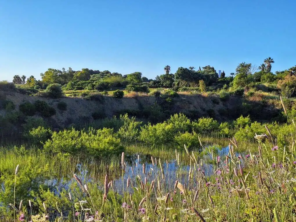 Apartments for rent in La Alcaidesa  with Air Conditioner, Heating and Terrace
