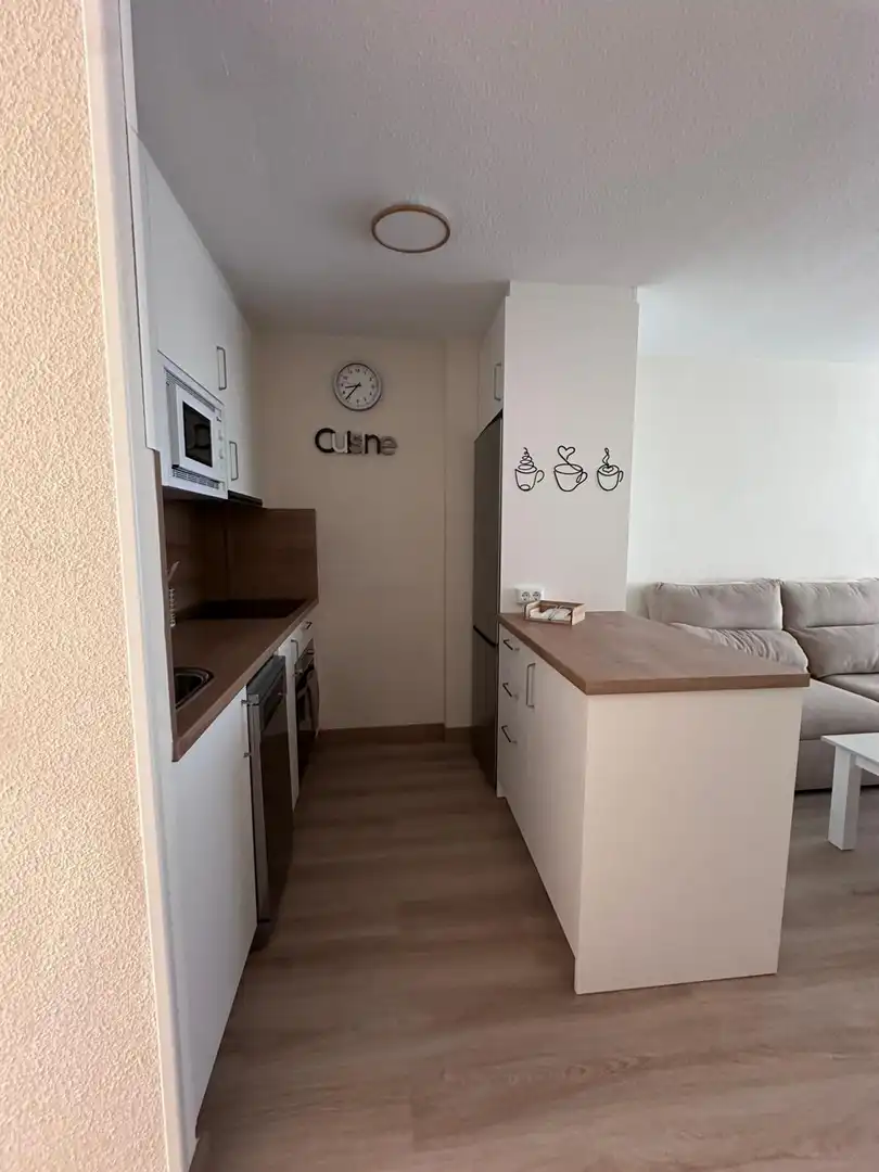 Flat for rent in de Holanda, Mil Palmeras