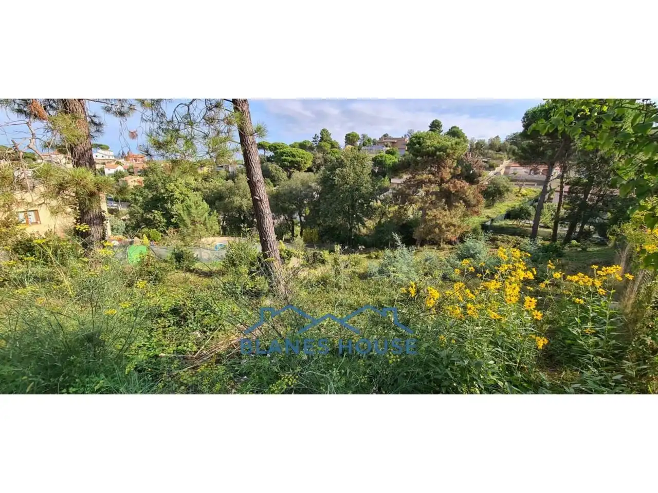 Residential land for sale in Calle Collsacabra 36, imagen 10