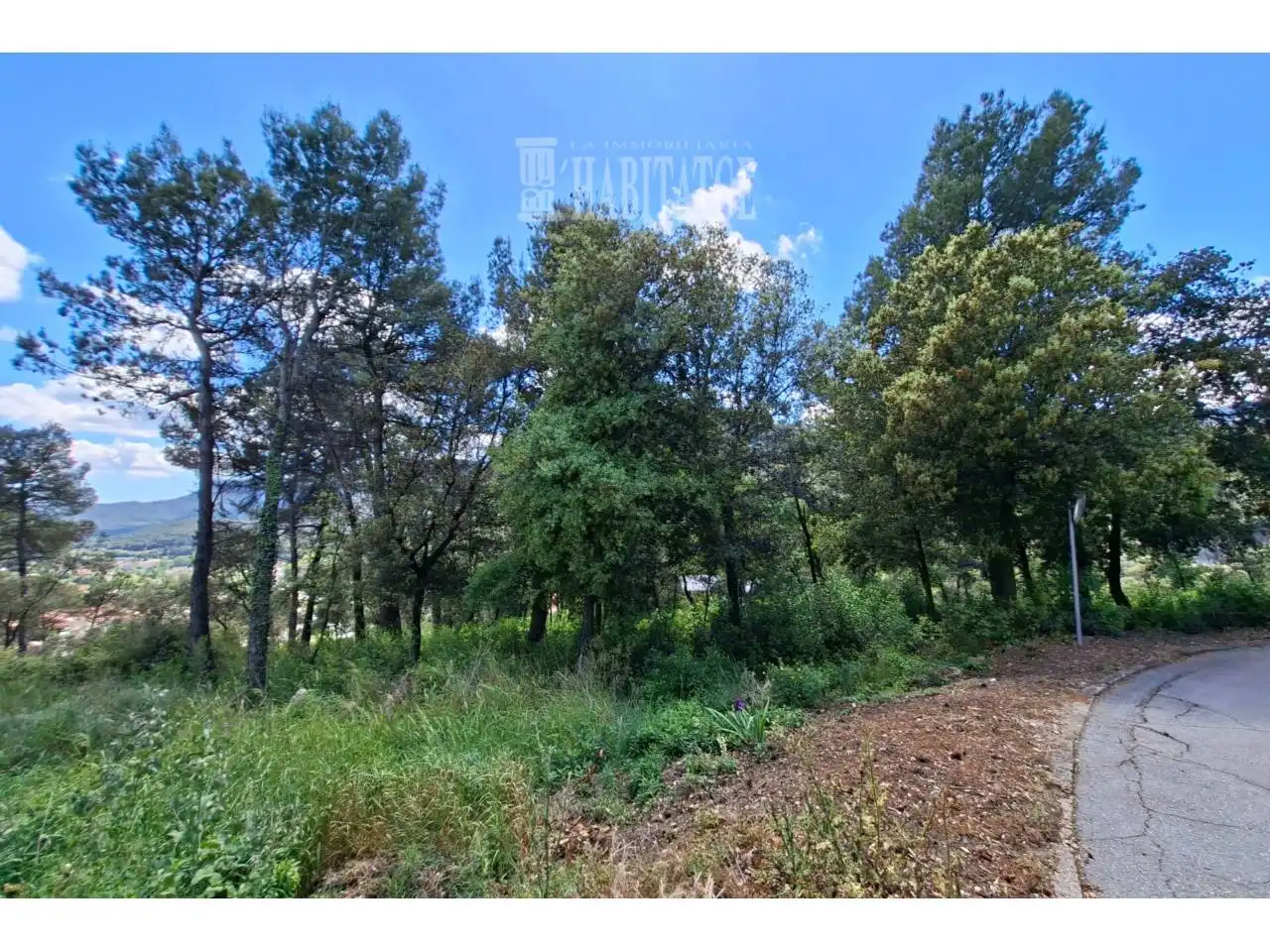 Terreno rustico in vendita a Calle Maria Fortuny, imagen 7