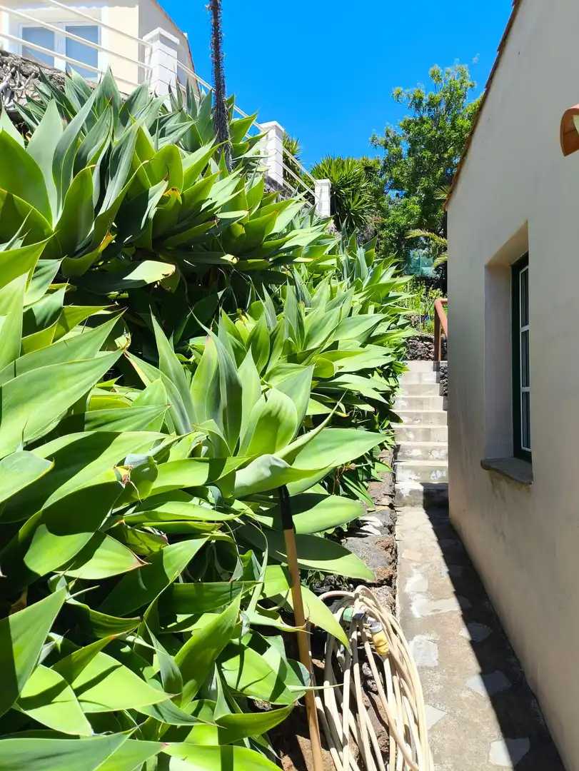 Vista exterior de Finca rústica en venda en El Paso amb Terrassa