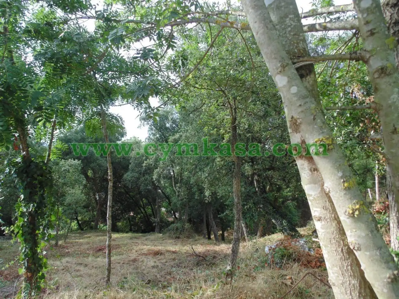Terreno rustico in vendita a Terrabrava - Tordera Parc