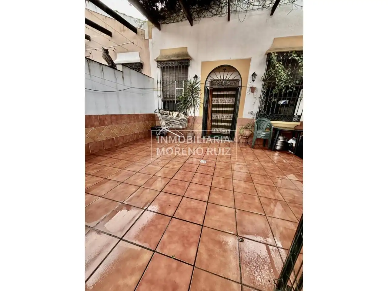 Vista exterior de Finca rústica en venta en Baena