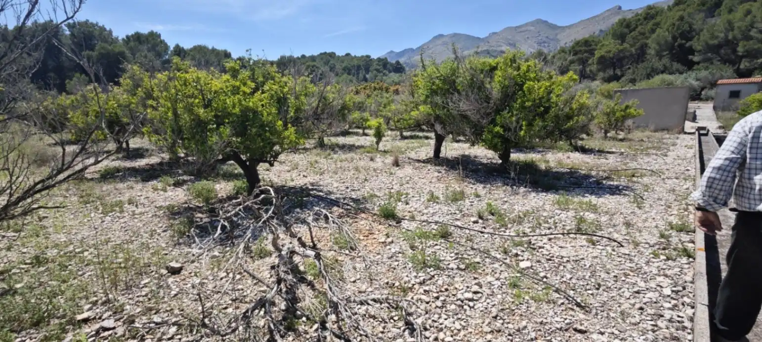 Residential land for sale in Tormos, imagen 22