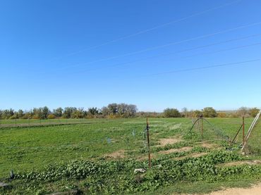 Terrain rustique à vendre à La Algaba