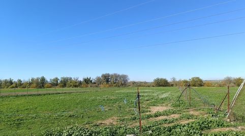 🌿 Parcela Rústica en Venta – El Sainar (Camino de La Encrucijá), La Algaba – Sevilla 🌿