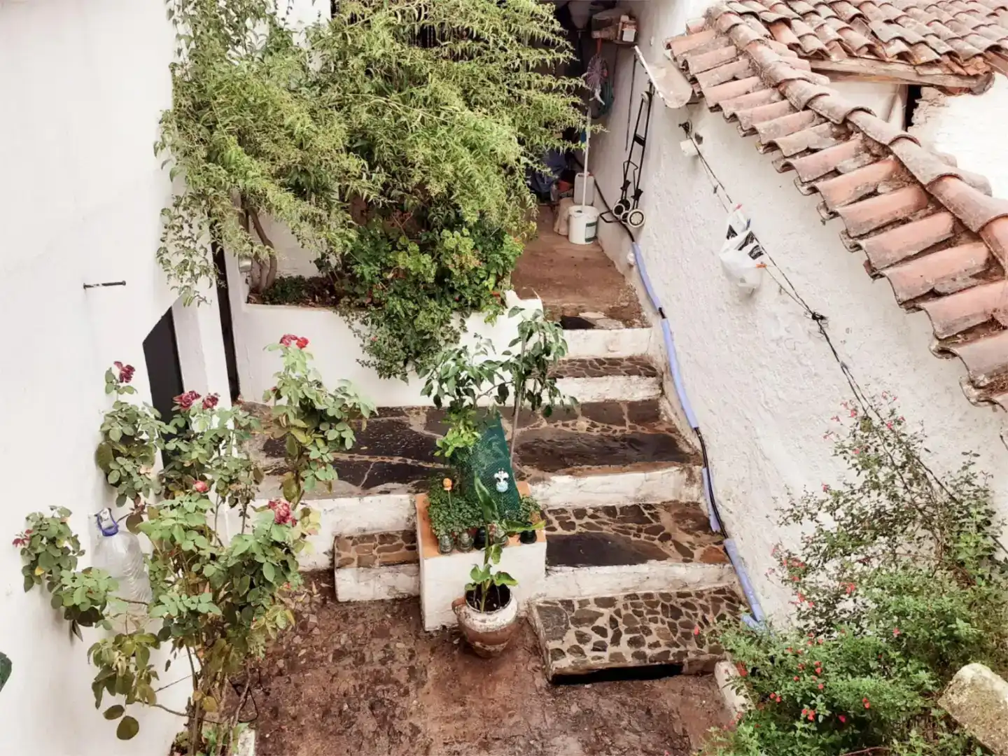 Terrassa de Finca rústica en venda en Aracena amb Balcó