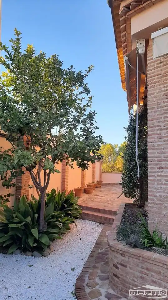 Jardín de Casa o chalet en venta en Lucena con Aire acondicionado, Terraza y Trastero
