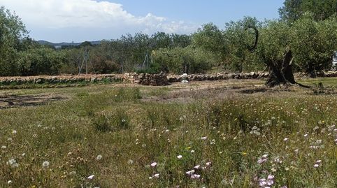 Foto 4 de Residencial en venda a Les Tres Cales, L'Ametlla de Mar
