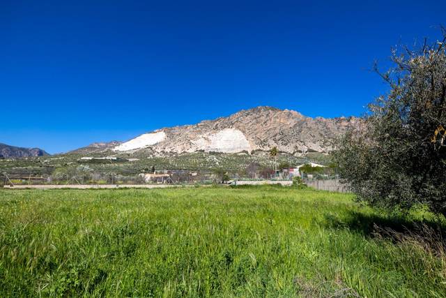 Terreno en Venta en Dúrcal