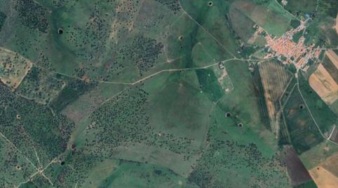 Foto 3 de Terreno en venta en Lugar Rozados, San Pedro de Rozados, Salamanca