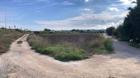 Foto 3 de Terreny en venda a Almoradí, Alicante