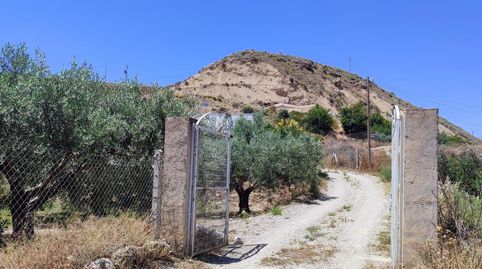 Foto 5 de Finca rústica en venta en Fines, Almería