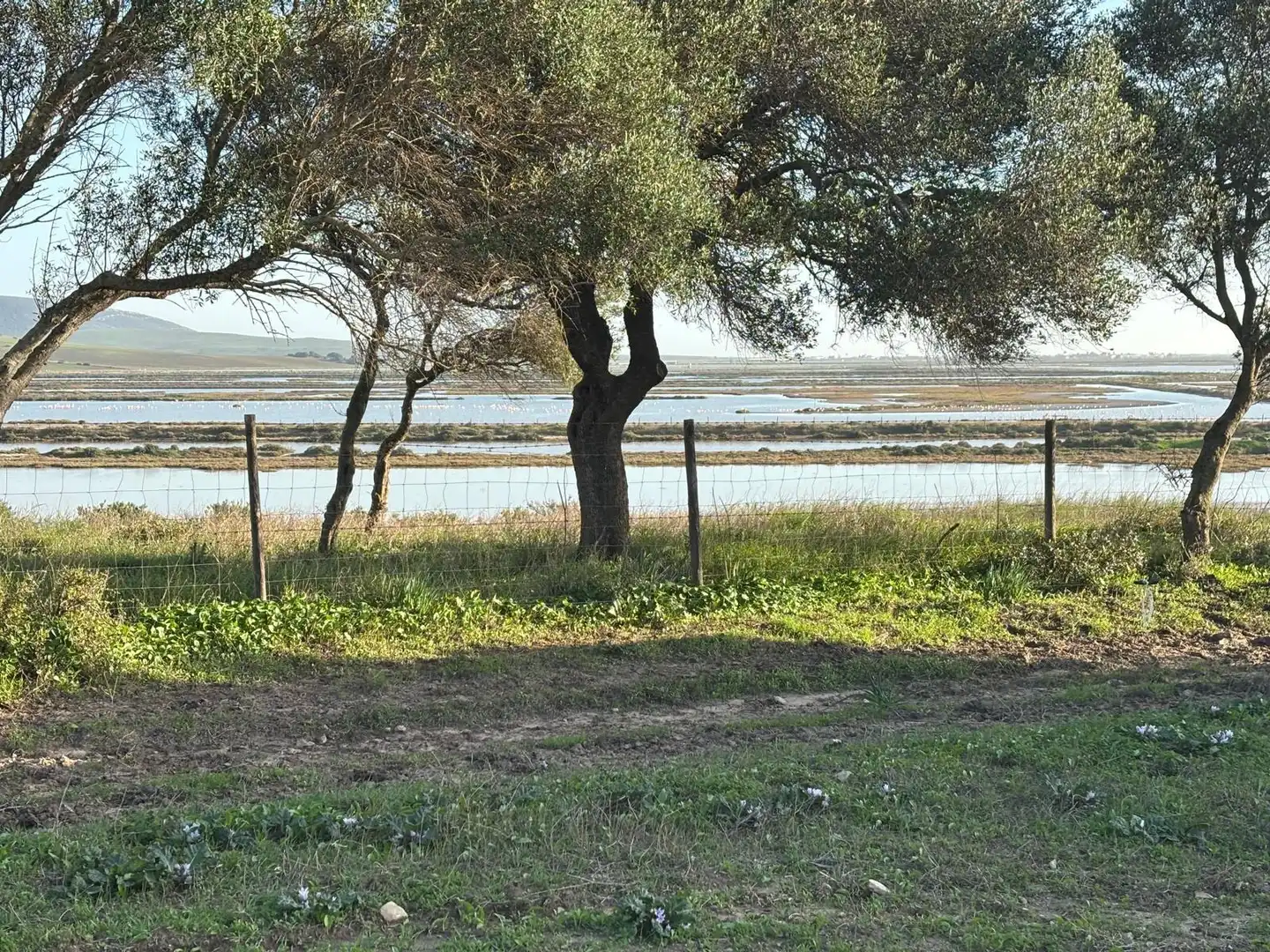 Terreni e lotti in vendita a Vejer, imagen 3