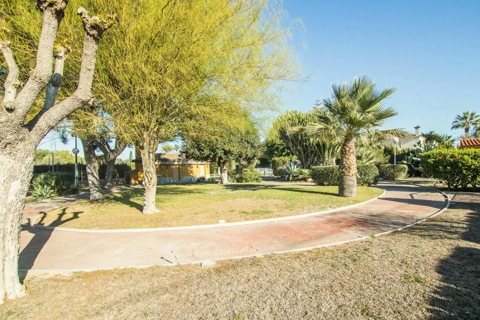 Vista exterior de Casa o xalet en venda en Elche / Elx amb Terrassa, Traster i Piscina