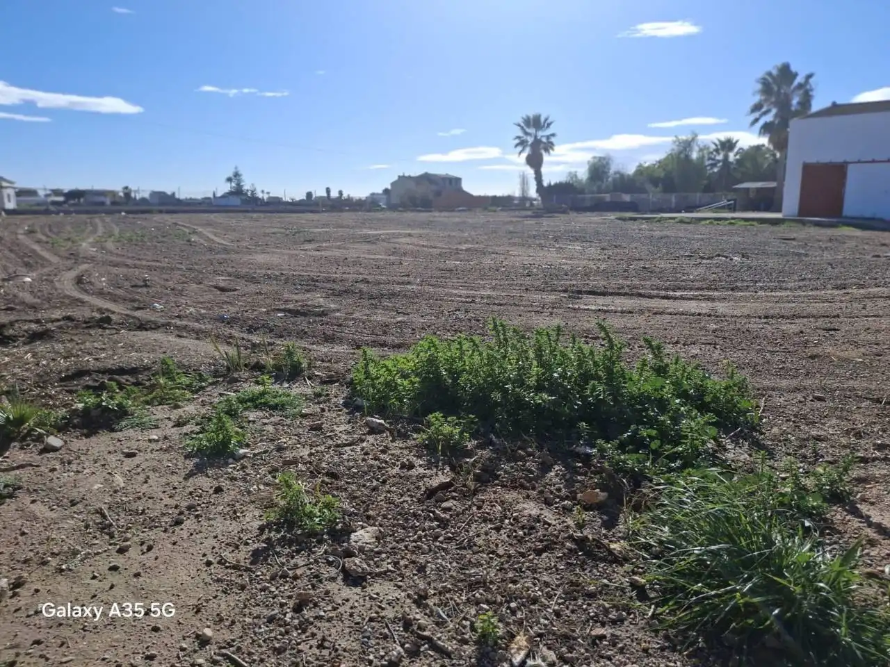 Industrial buildings for rent in Almàssera