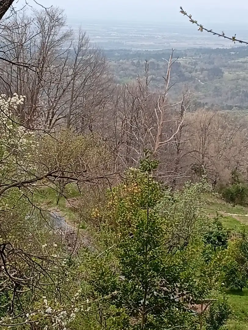 Terreni e lotti in vendita a Valverde de la Vera, imagen 30