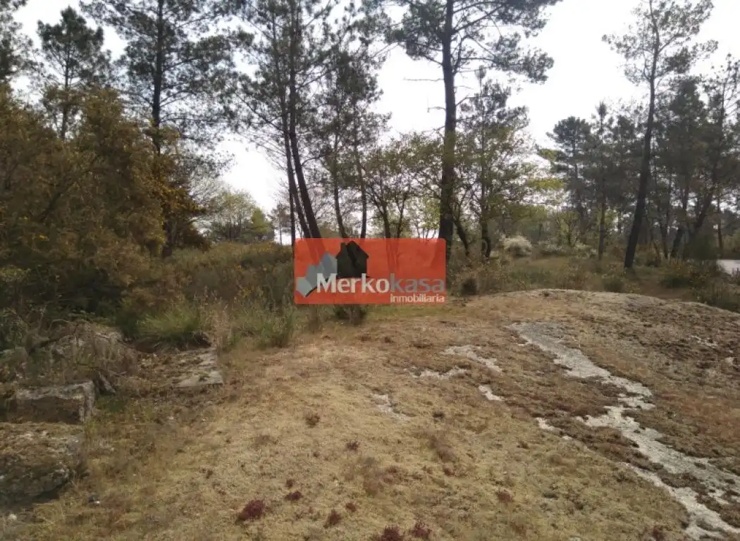 Grundstücke und Bauplätze zum Verkauf in San Roque - As Fontiñas, imagen 4