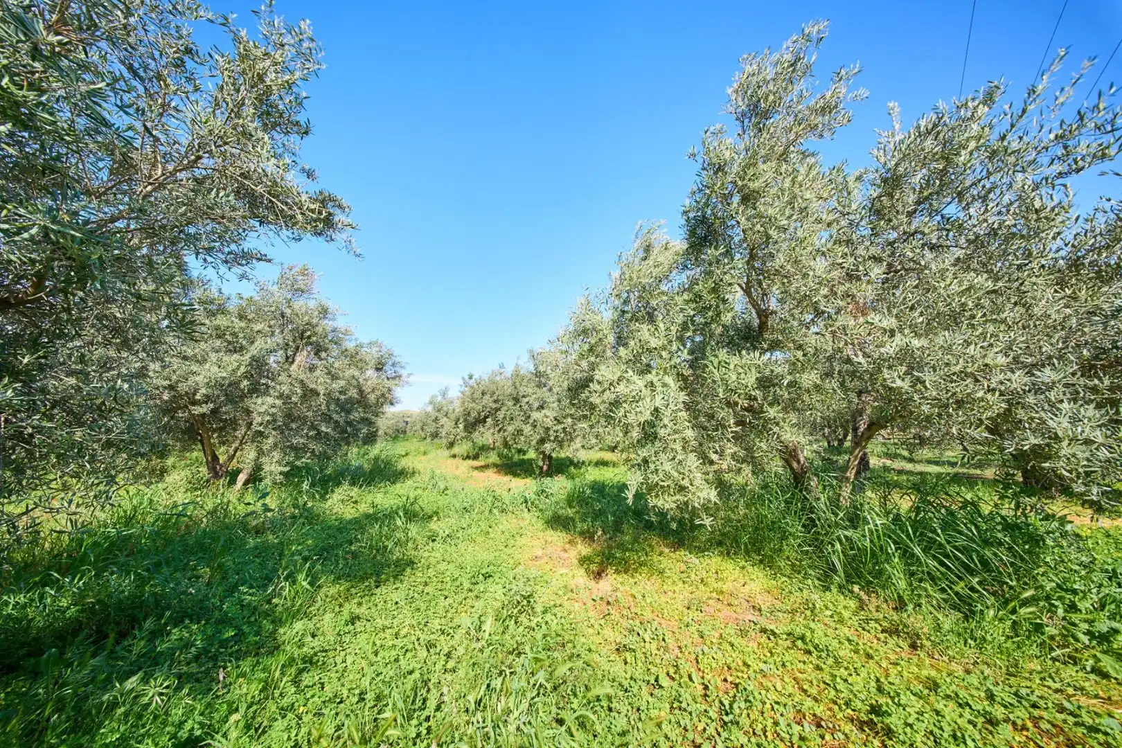 Casa rustica con giardino in vendita a Camino de la Vegueta, imagen 49
