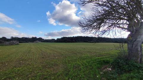 Foto 4 von Residential zum Verkauf in Sineu, Illes Balears