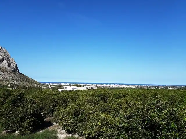 Terreny rústic en venda a Ondara, imagen 2
