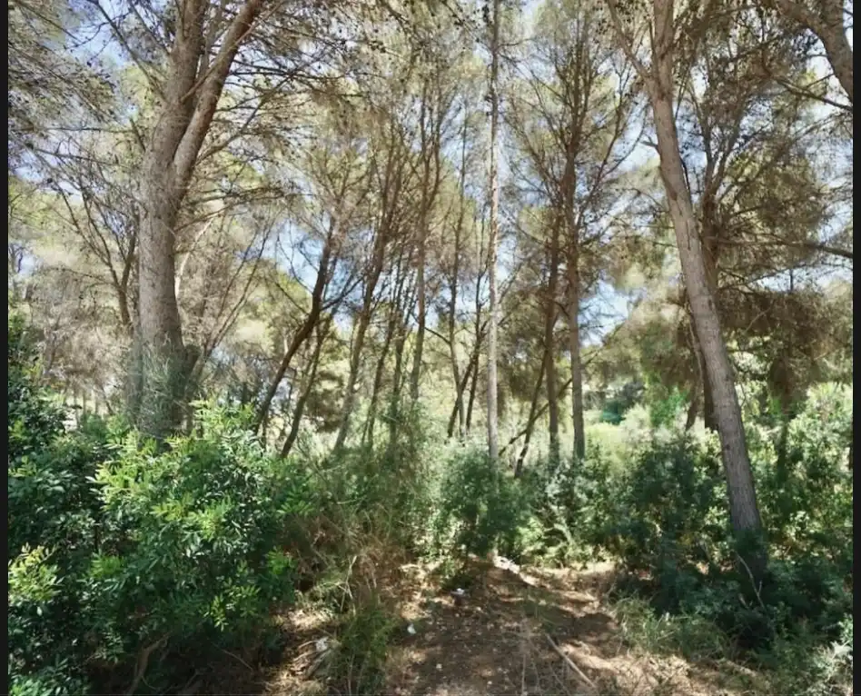 Residencial en venta en Moraira