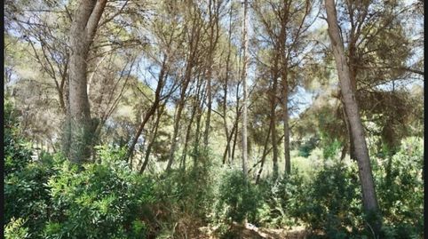Foto 3 de Residencial en venda a Calle Rio Ter, Pinar del Advocat - Cometa, Moraira