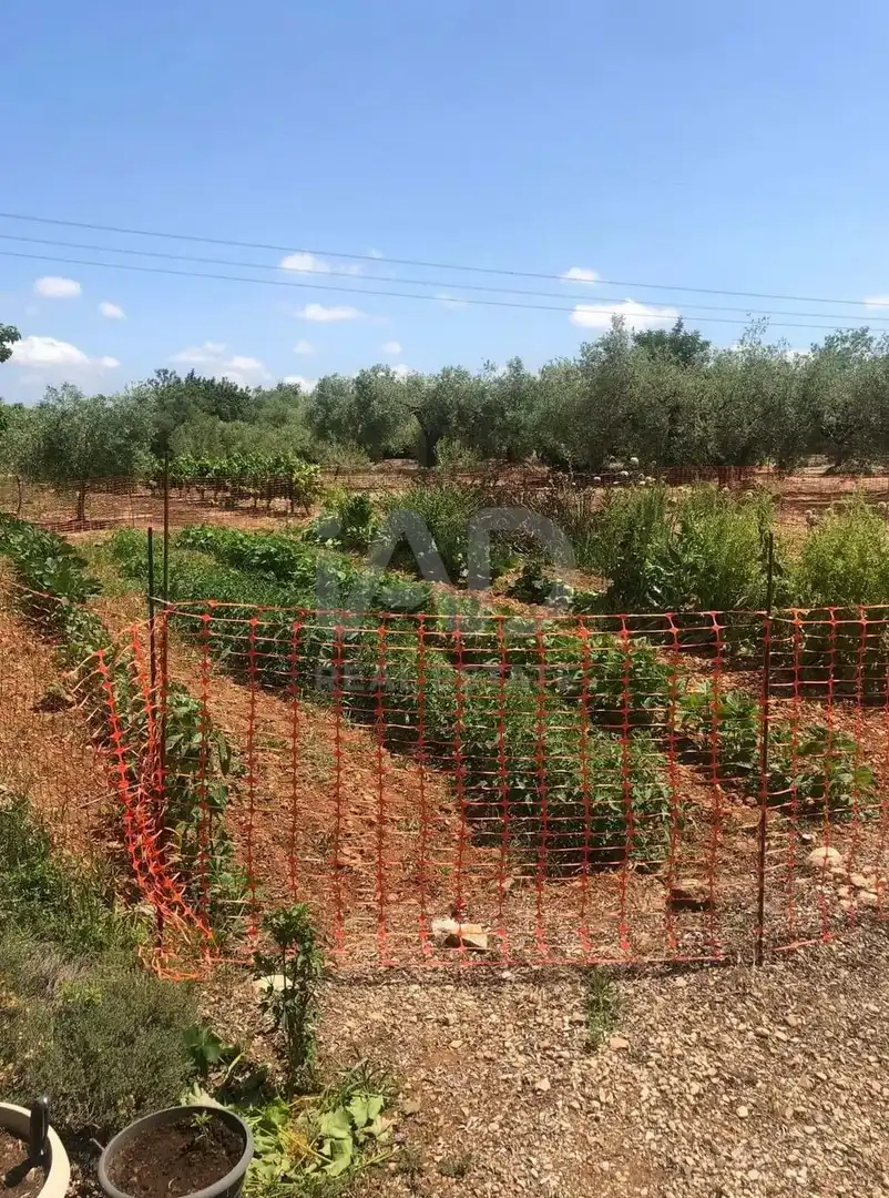 Terreny rústic en venda a San Rafael del Río, imagen 4