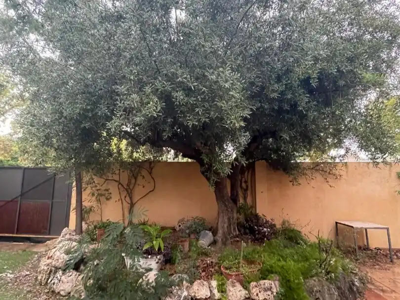 Jardín de Residencial en venta en Cambrils