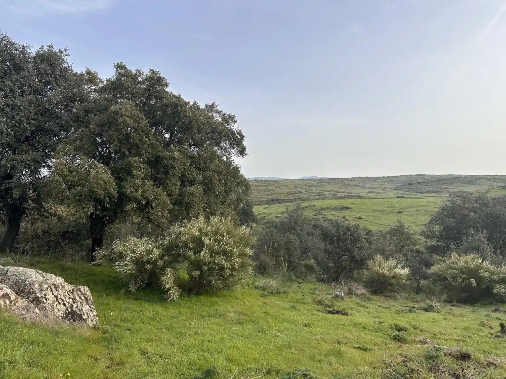 Country house zum Verkauf in Valencia de Alcántara