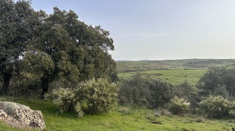 Foto 4 von Country house zum Verkauf in Poligono 42 Paraje 9 Alpotrel, Valencia de Alcántara, Cáceres