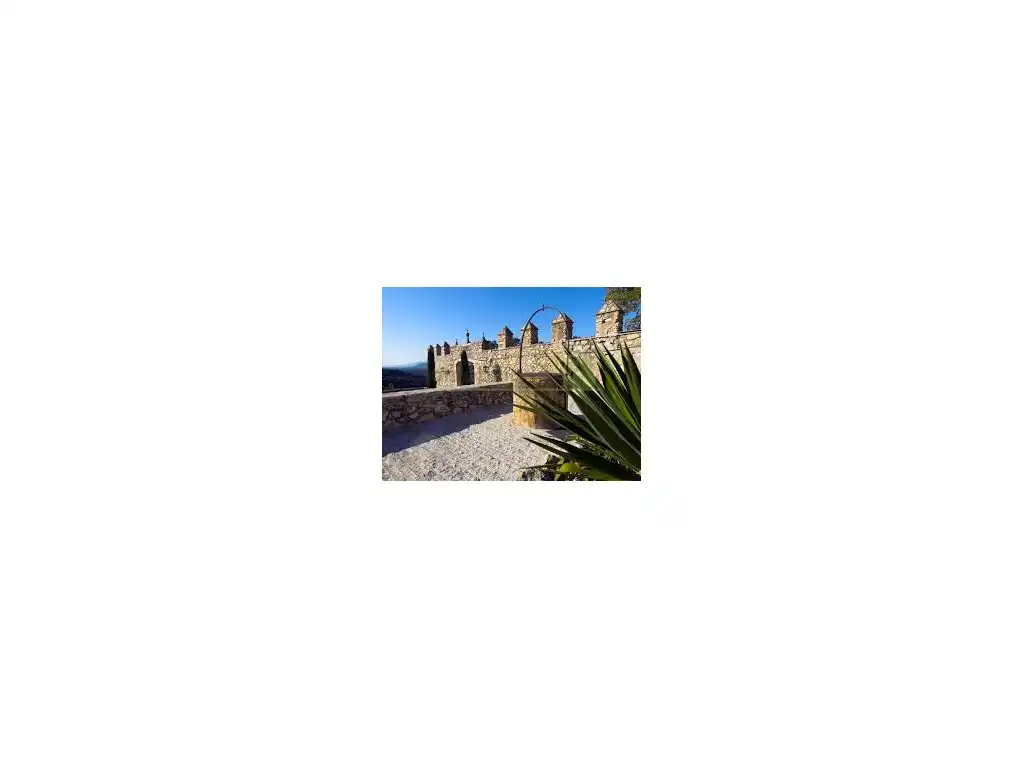 Jardín de Casa o chalet en venta en Sant Mateu
