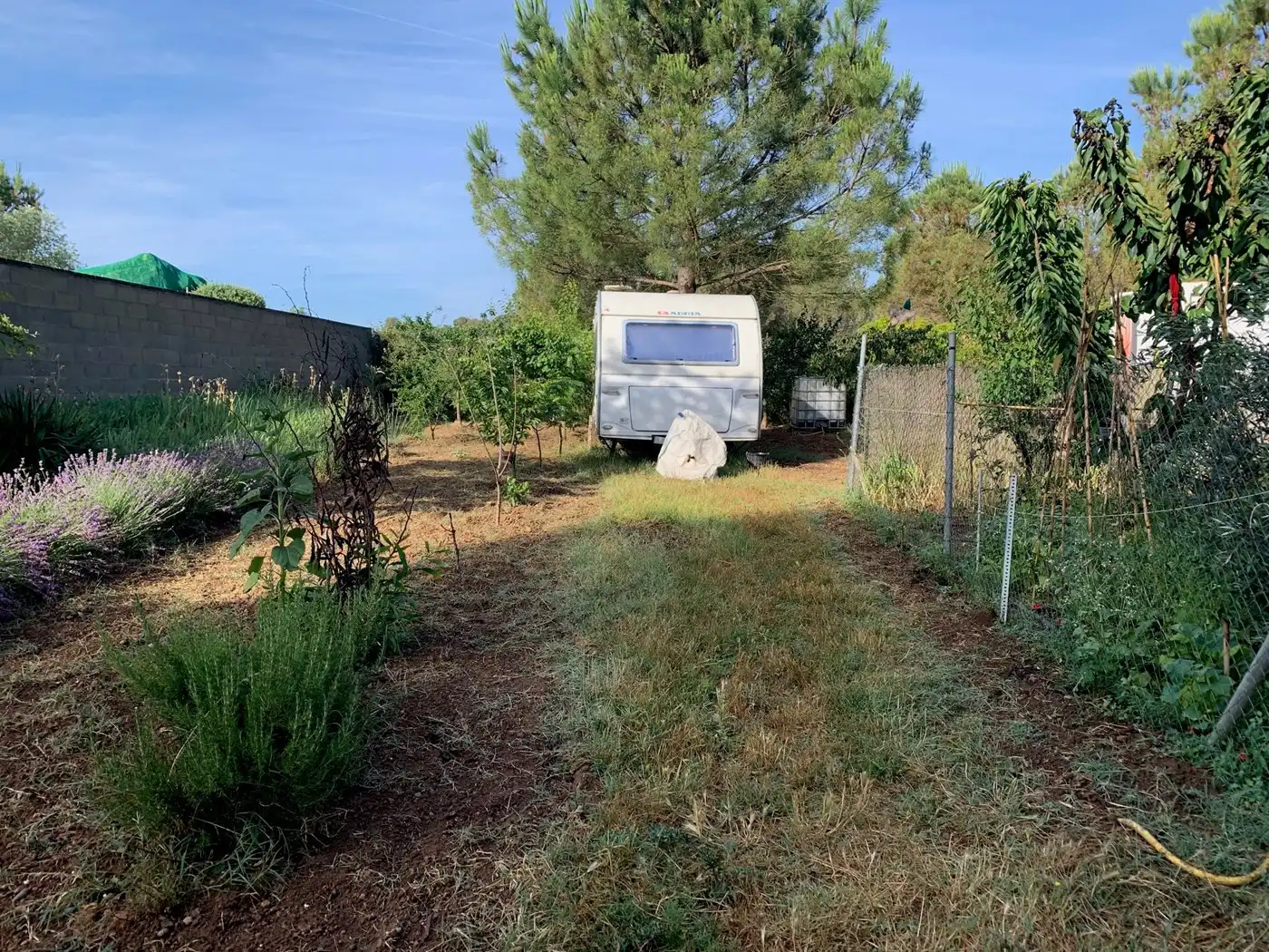 Lands and plots for sale in La Pobla de Claramunt, imagen 2