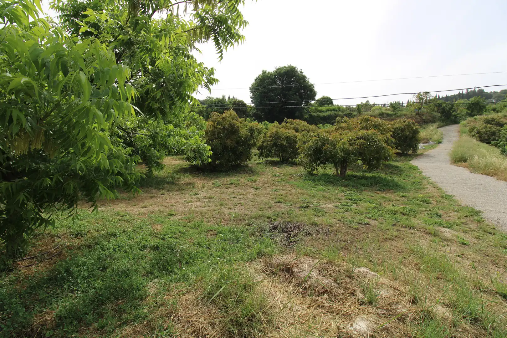 Country homes for sale in Coín  with Terrace and Storage room
