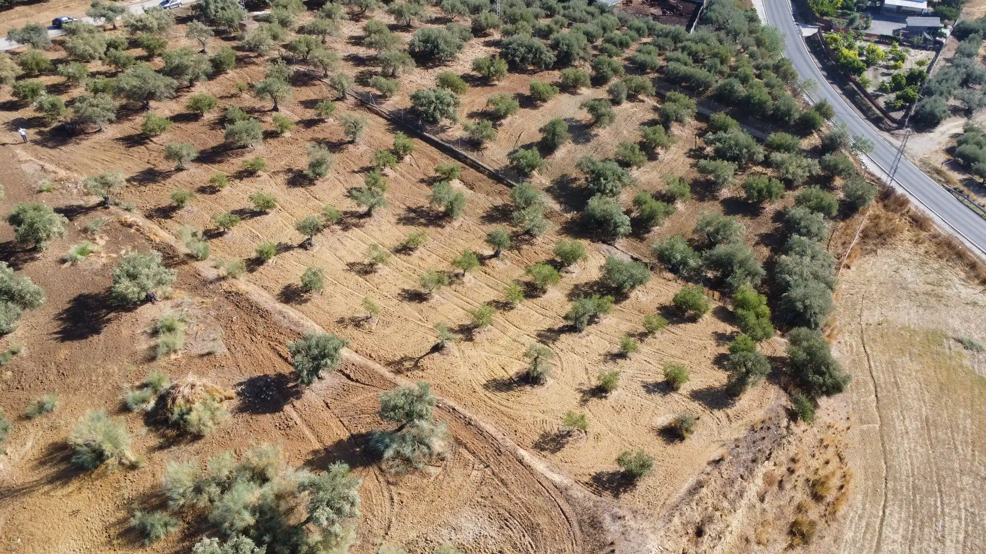 Rural land for sale in Camino la Ramita, Alhaurín de la Torre, Málaga, Spain, imagen 5