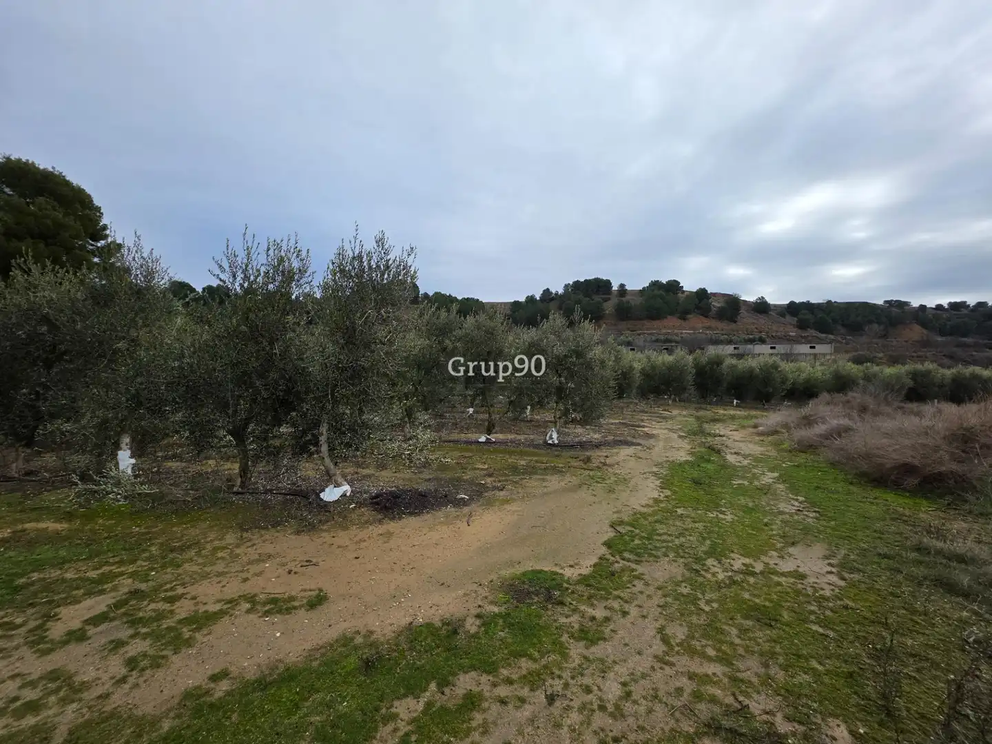 Terreno rustico in vendita a Alpicat, imagen 4