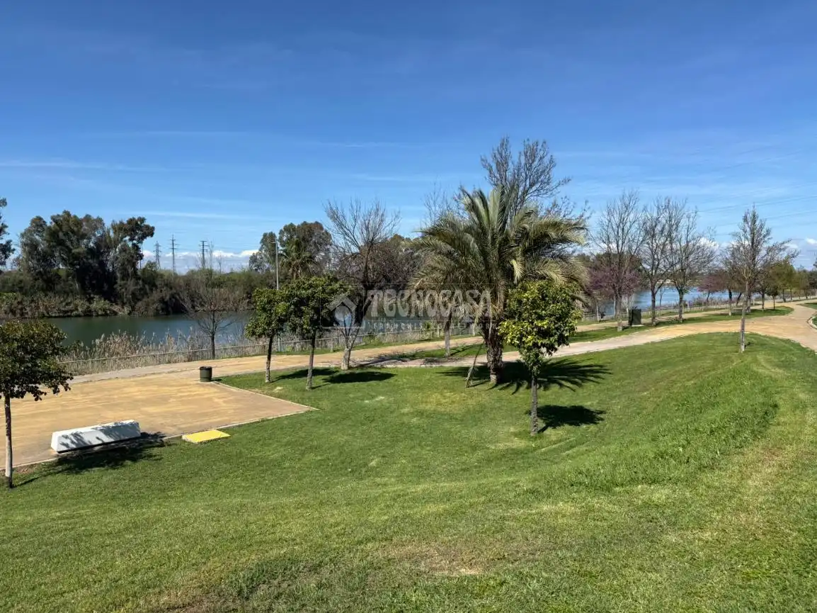 Garden of Detached homes for sale in Sevilla  with Air Conditioner and Terrace