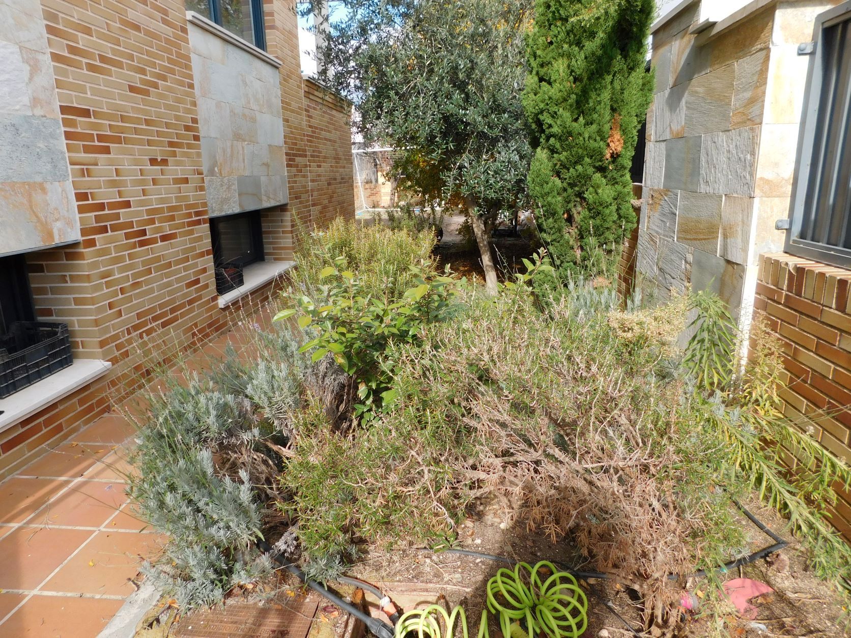 Jardí de Casa o xalet en venda en Villanueva de la Cañada amb Aire condicionat, Calefacció i Jardí privat
