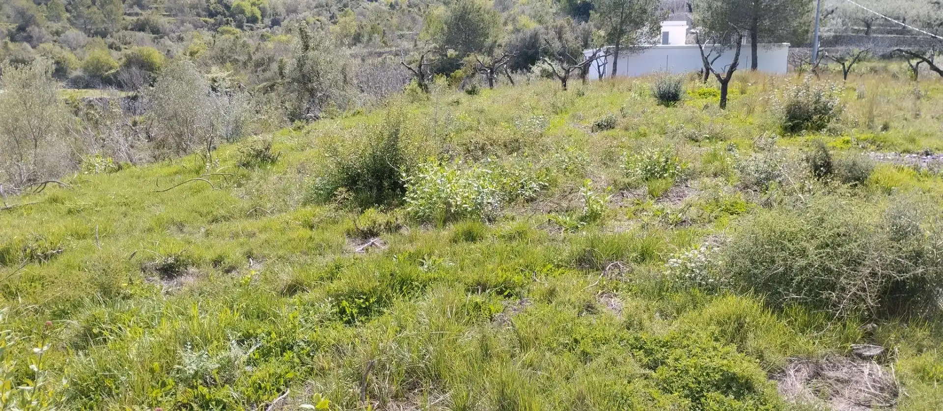 Terreny rústic en venda a La Vall de Gallinera, imagen 3