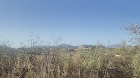 TERRENO AGRARIO- VILLANUEVA DEL SEGURA , GRAN OPORTUNIDAD!!!, immagine 3