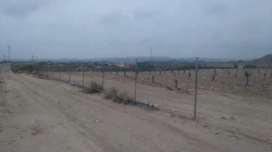 Land for sale in Molina de Segura