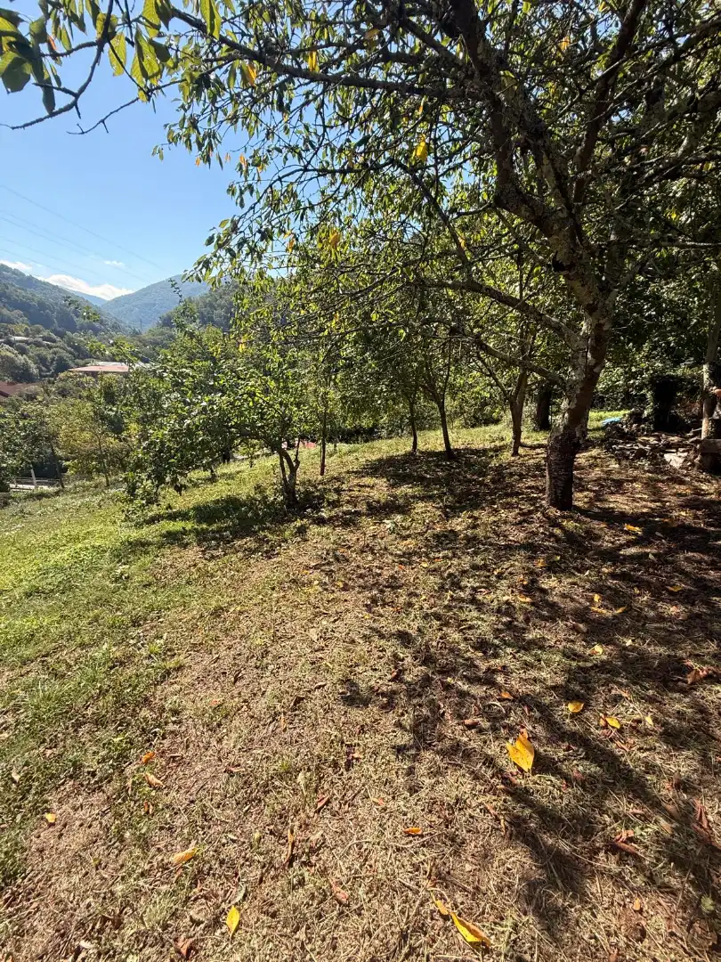 Maison jumelée avec jardin à vendre à Quirós, imagen 42