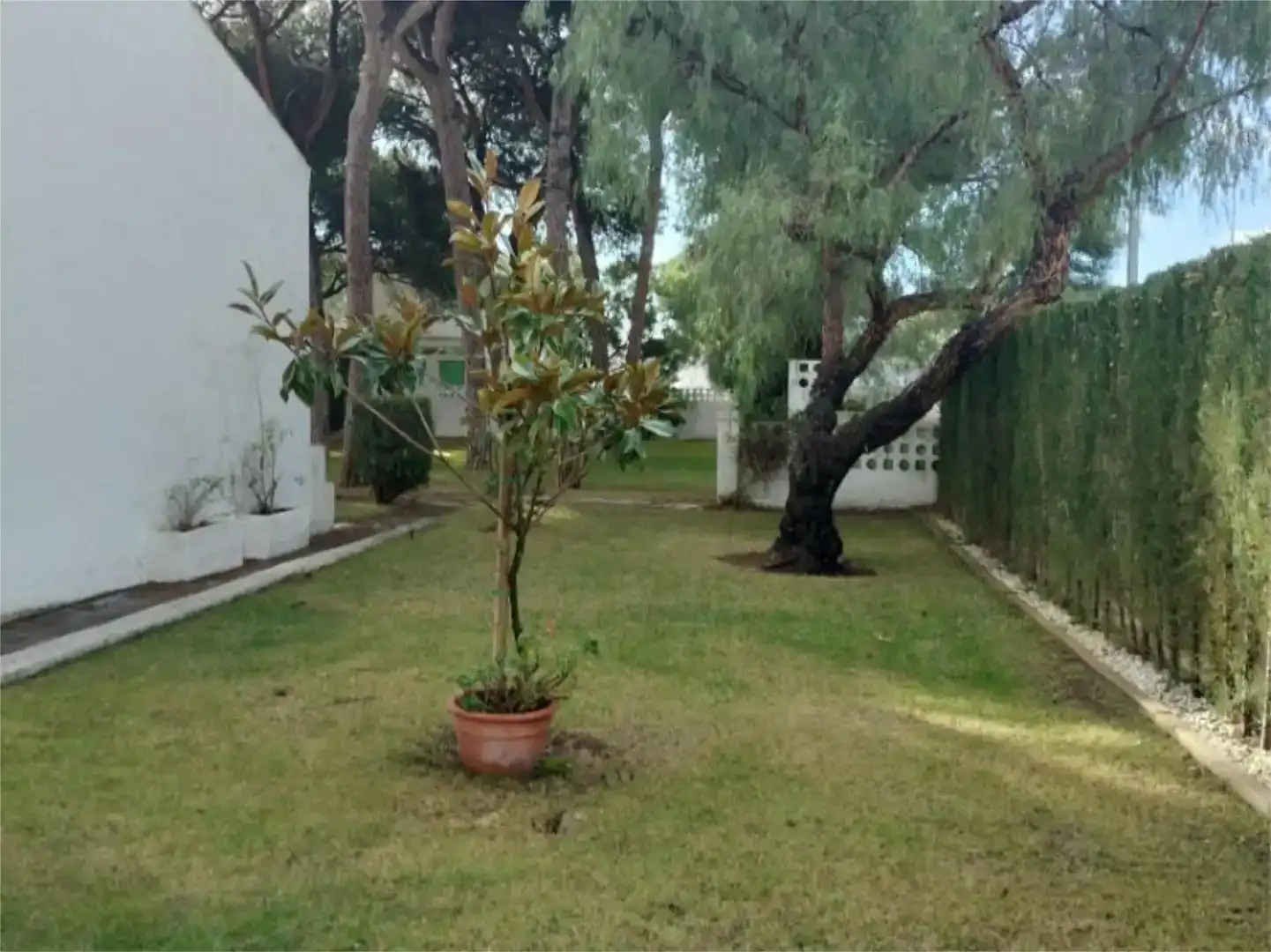 Garden of Houses for rent in Islantilla