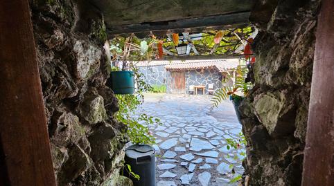 Foto 5 de Finca rústica en venda a Icod de los Vinos pueblo, Santa Cruz de Tenerife