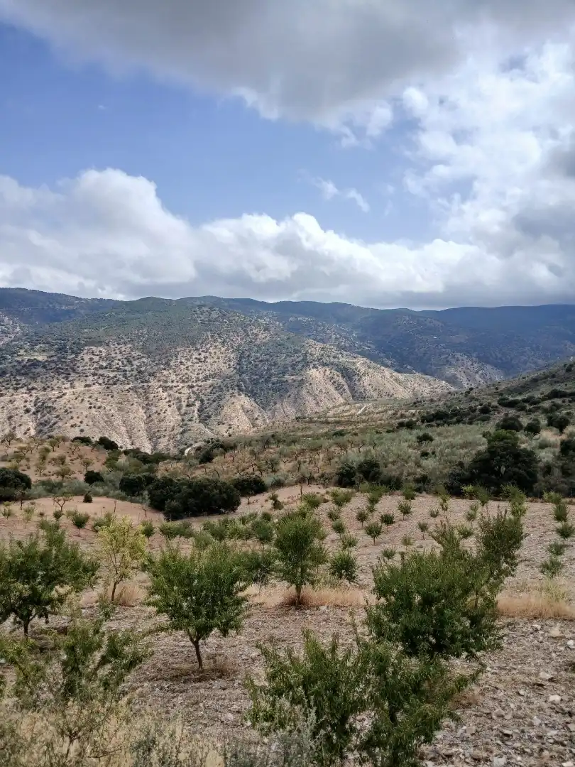 Terreno en venta en Sierro