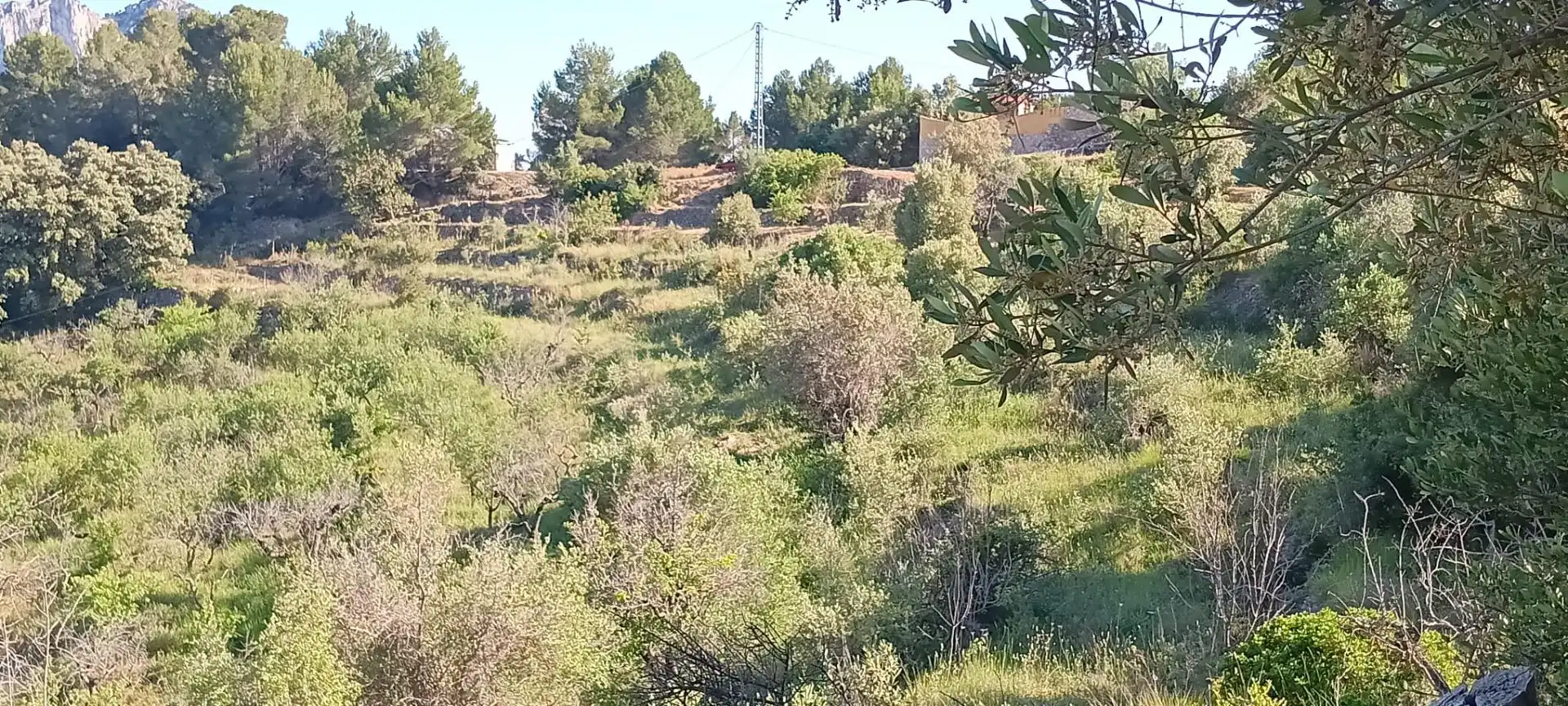 Rustikales Grundstück zum Verkauf in Tàrbena, imagen 2