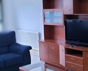 Sala d'estar de Pis de lloguer en Ourense Capital  amb Calefacció i Jardí privat