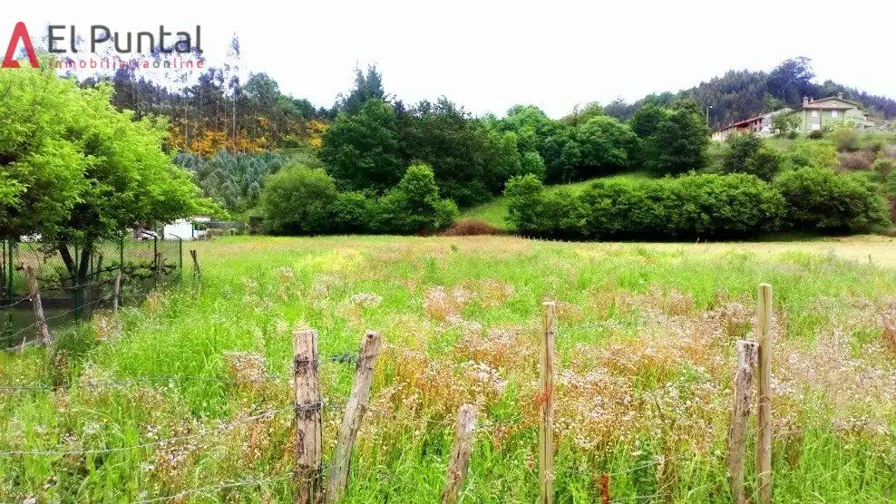 Rural land for sale in Ampuero, imagen 4