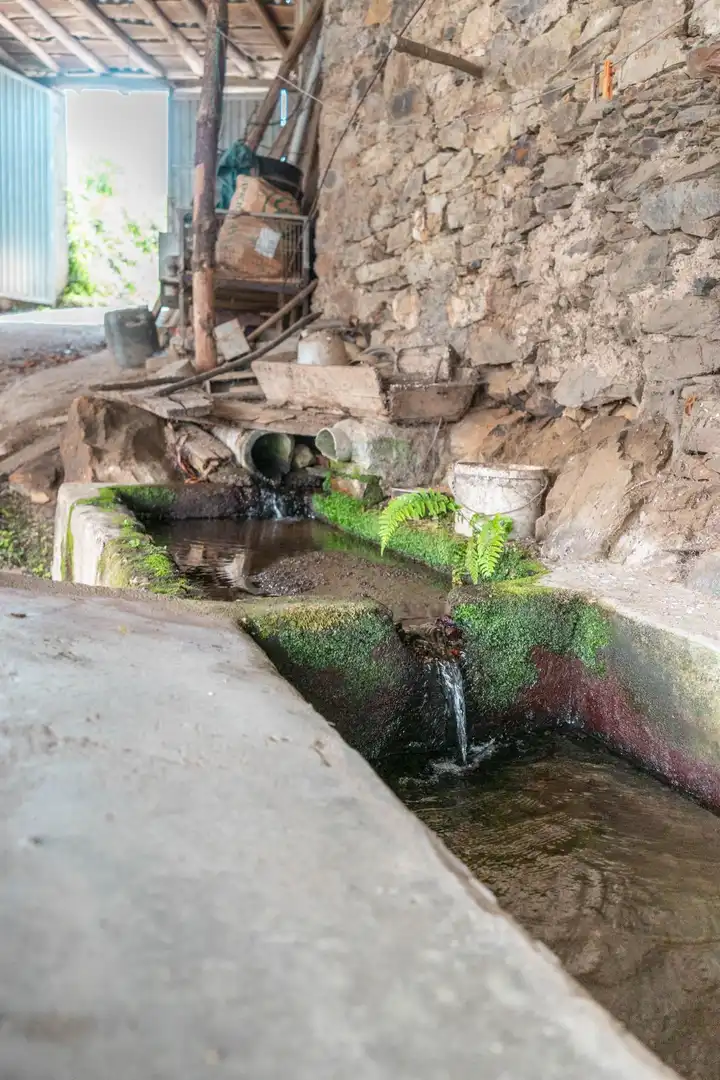 Jardí de Casa o xalet en venda en Cangas del Narcea amb Calefacció, Terrassa i Moblat