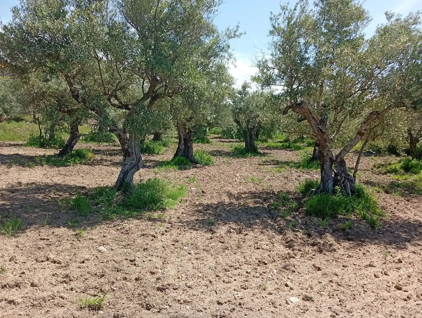 Terreni e lotti in vendita a Villanueva de la Vera, imagen 40